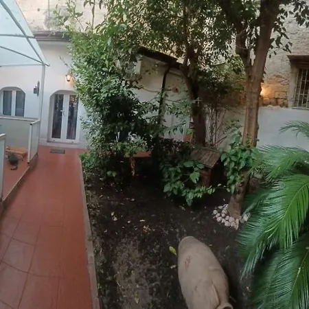 Sofia E Sveva Con Giardino Privat bolig Napoli